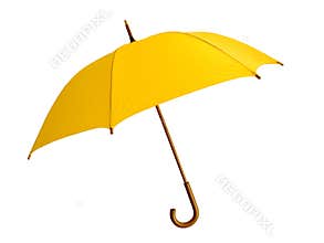Yellow umbrella