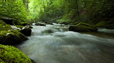 Flowing river in forest
