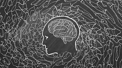 The human head with information coming into it.