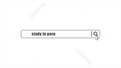 Study in Peru in search animation. Internet browser searching