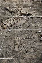 Archeology dig