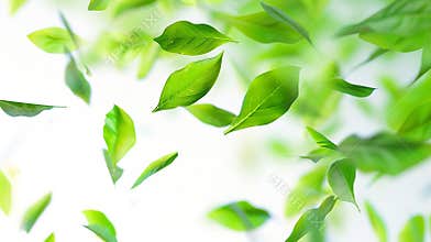 Generative AI Green leaves flying in the air isolated on white backgroundDay of clean air business concept.
