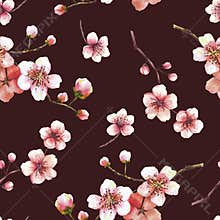 Blossoming tree branch spring time sakura cherry flowers buds seamless pattern Watercolor hand drawn