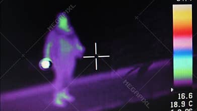 Display with colored silhouette of smoking woman