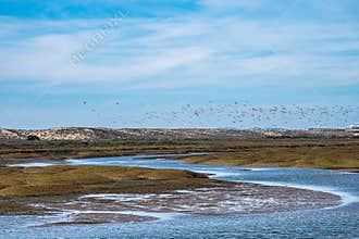 Landscape view of Parque Natural da Ria Formosa near Faro, Portugal