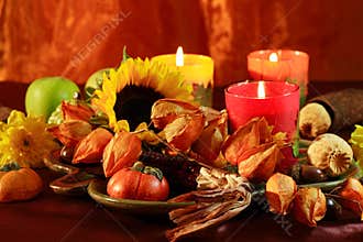 Happy Thanksgiving