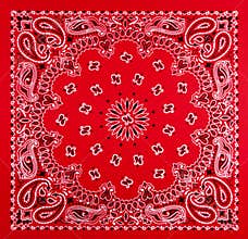 Red Bandana Print