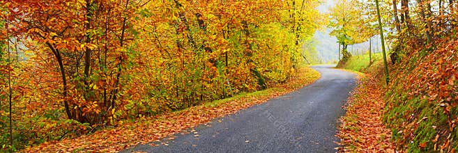 Panoramic view of road in autumn