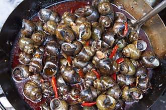 Viviparid flavor snack