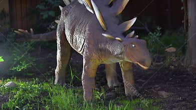 Stegosaurus twirls its head and tail, it is an herbivorous dinosaur species that lived at the very end of the Cretaceous