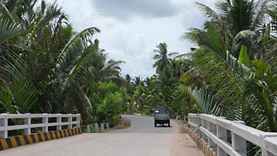 Backpacking alone moving through country road for relax cause stress, beautiful view of Mekong Delta rural with coconut trees