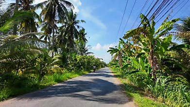 Backpacking alone moving through country road for relax cause stress, beautiful view of Mekong Delta rural with banana trees