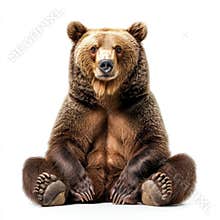 The file contains a cutout of a brown bear isolated on a white background.