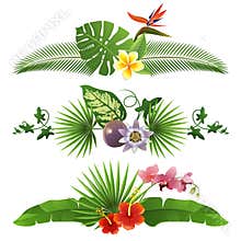 Tropical borders