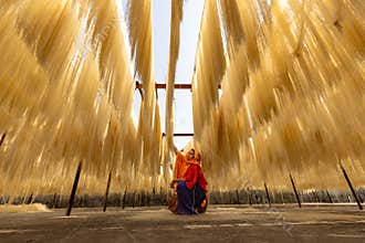 Women drying vermicelli