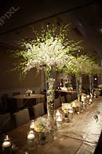 Beautifully Decorated Wedding Venue
