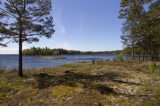 Lake Ladoga, forests and Valaam Island