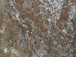 Grunge wall texture shoot on close up for abstrack backround or 3D rendering