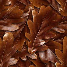 Seamlessly brown oak leafs background.