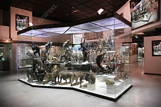 Primate exposition