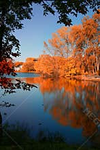 Fall Contrast