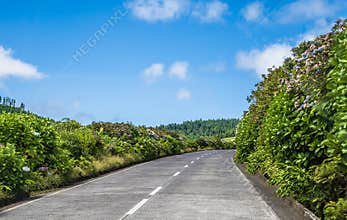 A view down a road leaving the Seven Cities region on the island of San Miguel in the Azores