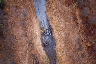 Abandoned Highyway Taken Back By Nature