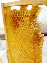 Honey