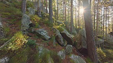 Forest mountains tree nature stone rocks sun sunset autumn