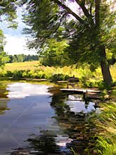 Summer lake