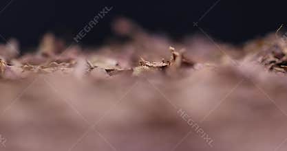 a broken and colored cigar made of high-quality tobacco leaves