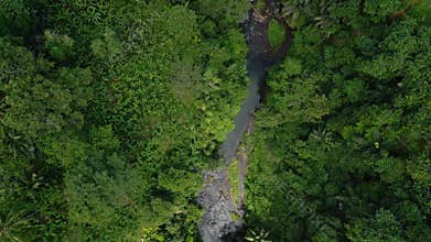 Aerial View on Mountain River and Green Wood Trees in Landscape of Forest Nature