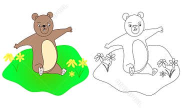 b for bear