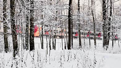 Footage of the electric train through bare trees in snowy park, tree branches covered with snow at frosty evening, black