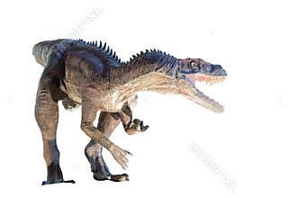 Restoration of a Herrerasaurus (Herrerasaurus ischigualastensis) dinosaur isolated
