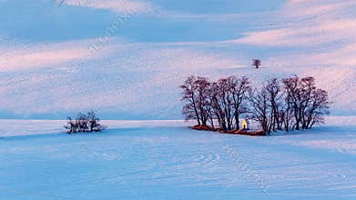 Winter rolling landscape of Moravian Tuscany. A field covered with snow and in the middle stands a small chapel among the trees.