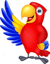 Macaw bird cartoon waving