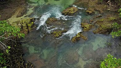 Aerial view descending and tilt up to reveal mangrove forest with water stream