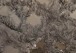 Mud Texture