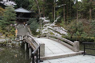 buddhist temple (chion-in) in kyoto (japan)