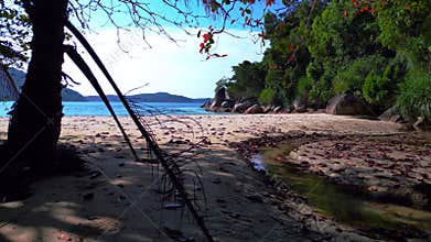Tropical paradise secluded beach lush forest Smooth aerial top view flight drone