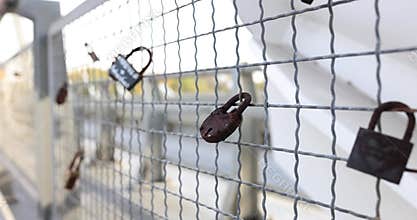 Closed locks of lovers hang on the fence of bridge