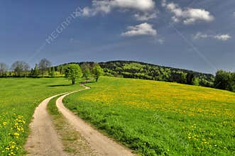 Road and spring landscape