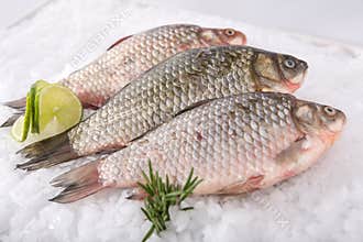 Fish fresh on ice three