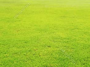 Top veiw, Abstract blurred artificult turf green seamless texture for design, grass feild background, stadium floor