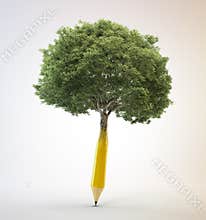 Tree growing out of a pencil