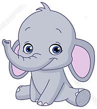 Baby elephant