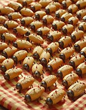 Miniature Pastry Ants on a Checkered Cloth