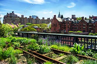 HIgh Line. New York City, Manhattan.