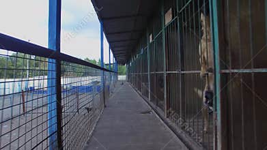 Dog shelter with rows of wards at autumn day.